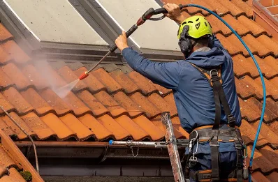 Démoussage et hydrofuge de toiture à Rimling